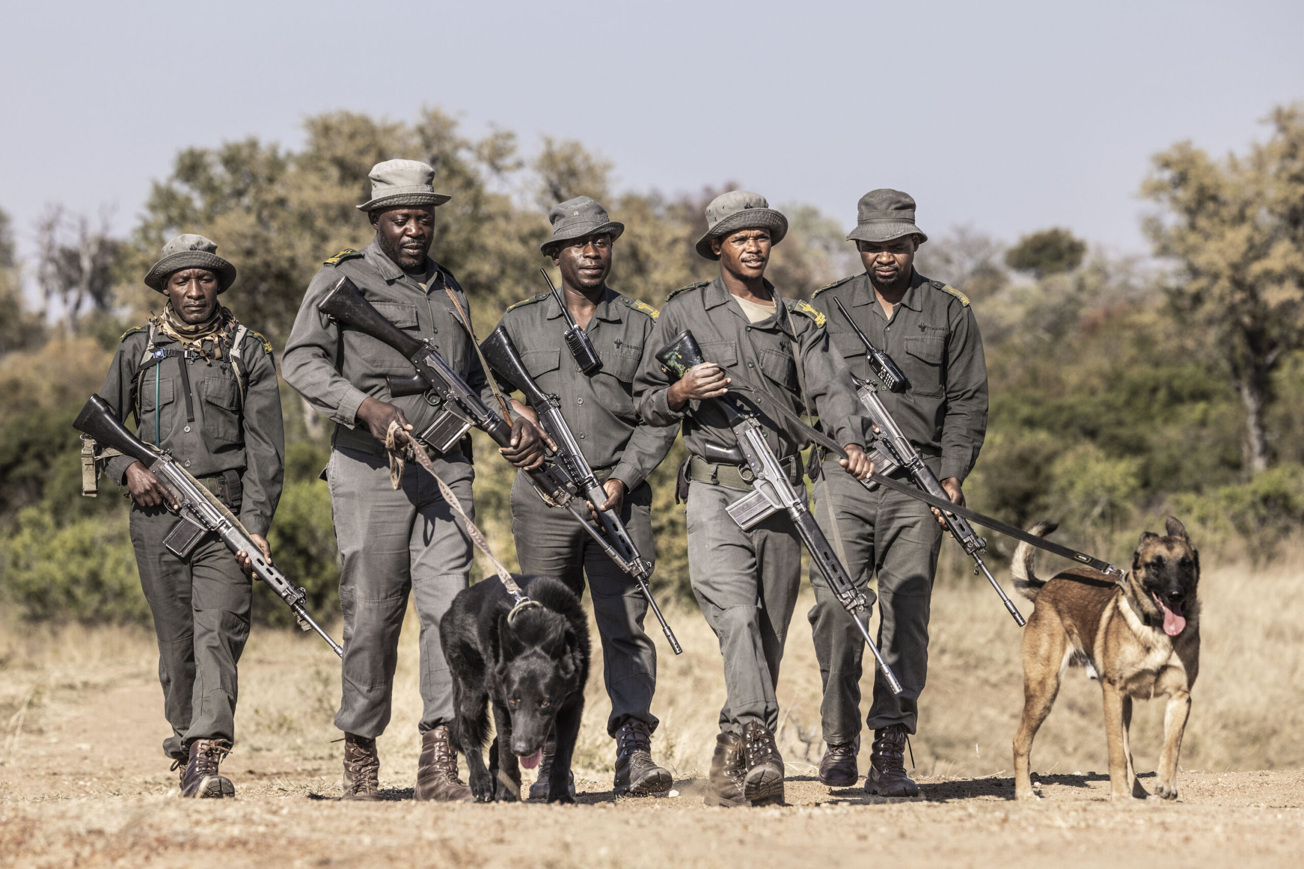 Timbavati – South Africa
