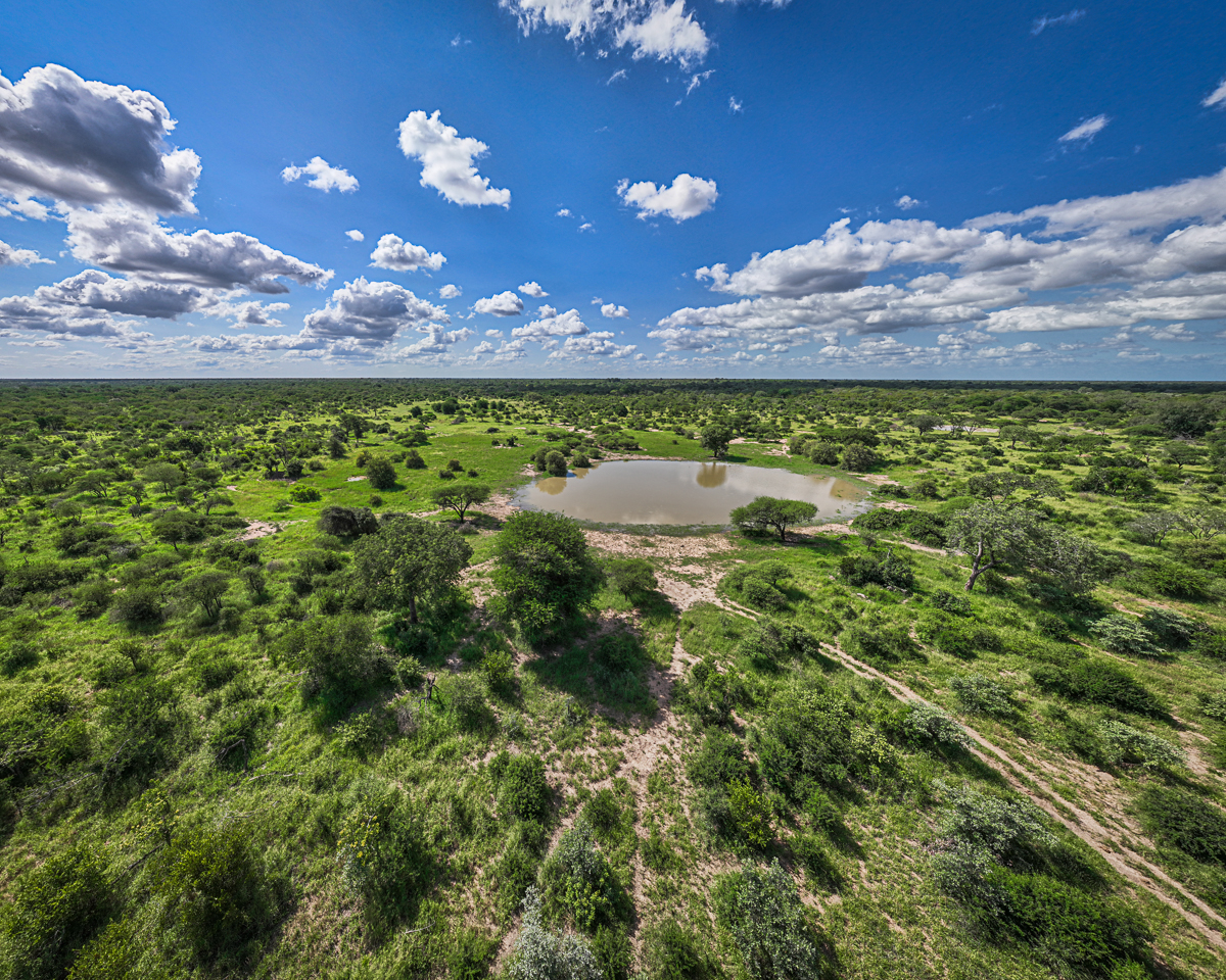 JoTWorth2023-Karingani-0530-2