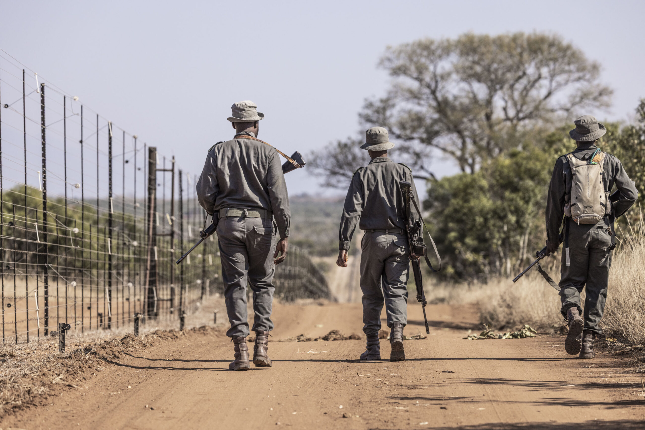 Timbavati – South Africa