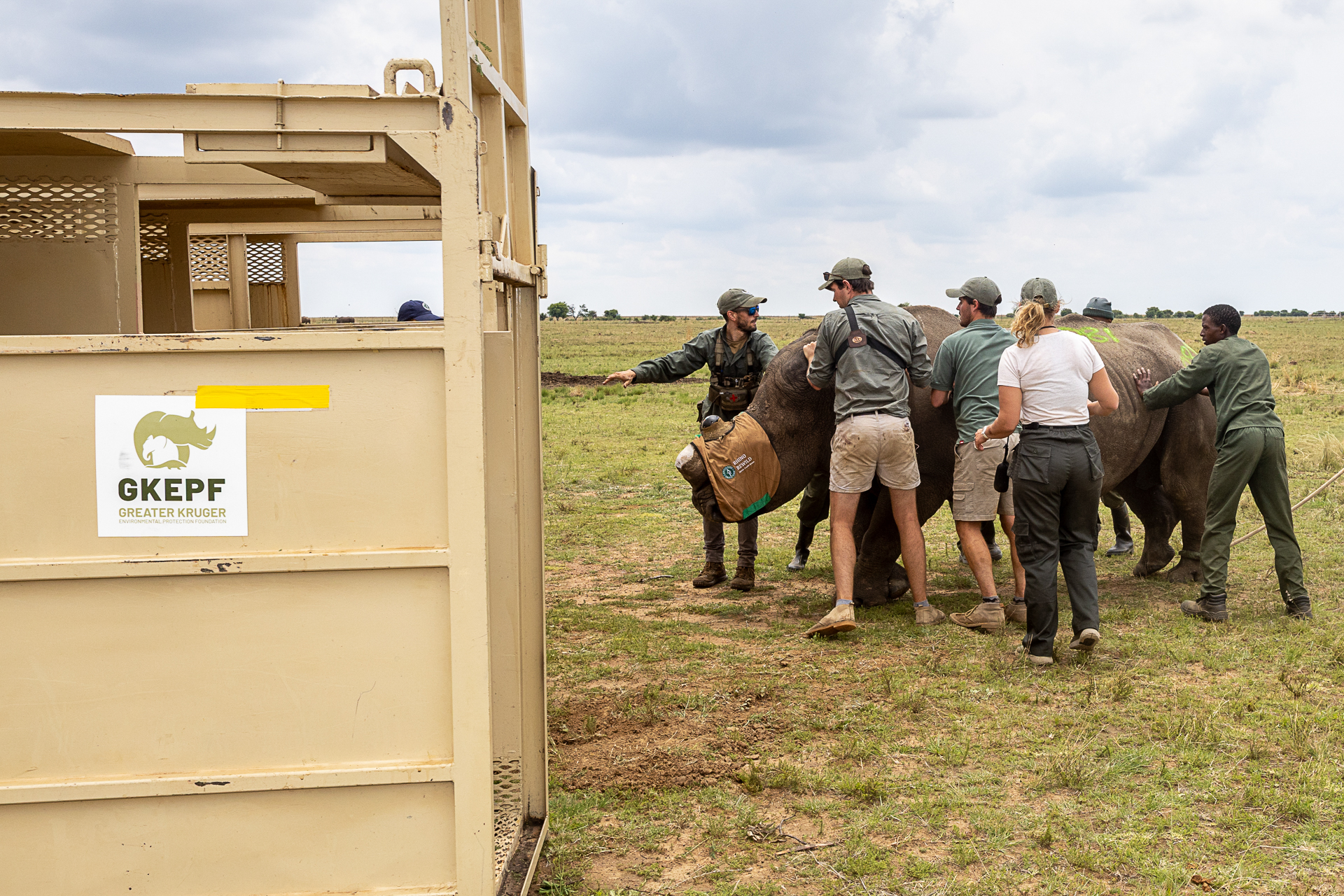 Timbavati_Translocation_MD-70